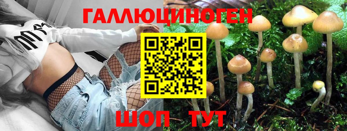 Галлюциногенные грибы MAGIC MUSHROOMS  Вход с VPN  Абинск 