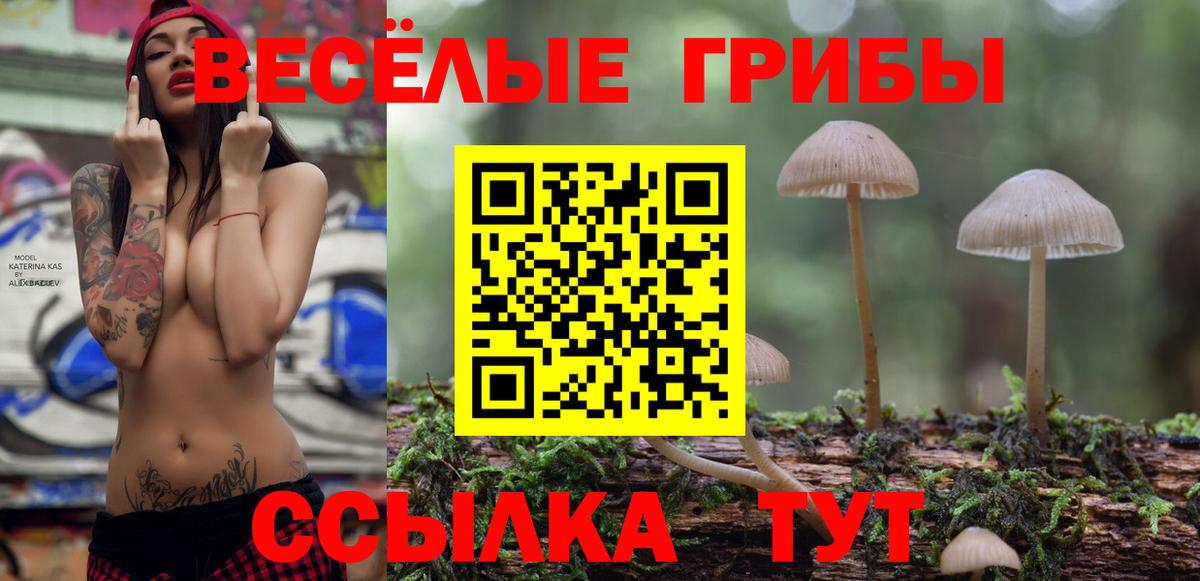 Галлюциногенные грибы Psilocybine cubensis Абинск